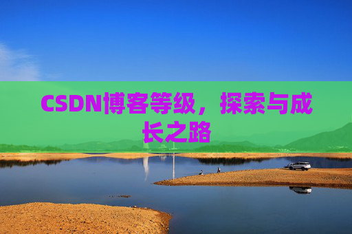 CSDN博客等级,探索与成长之路